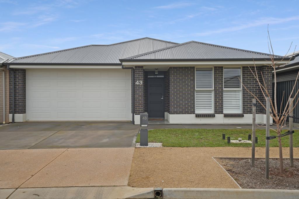 43 Corkwood Cct, Andrews Farm, SA 5114