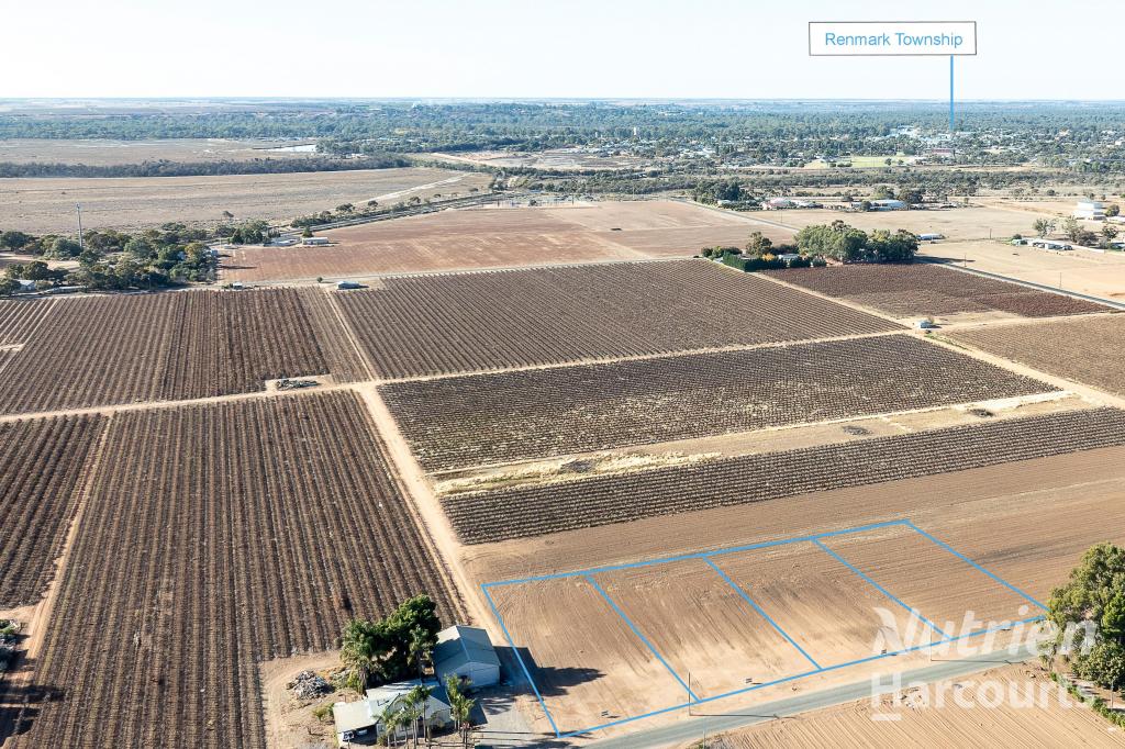 Lot 5, 6, 7 & 8 Arumpo St, Renmark, SA 5341
