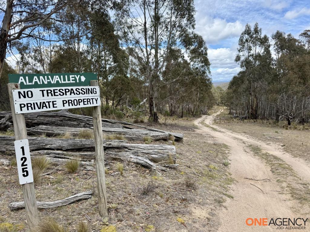 Lots 73 & 78 / 125 Fistys Lane, Jerangle, NSW 2630