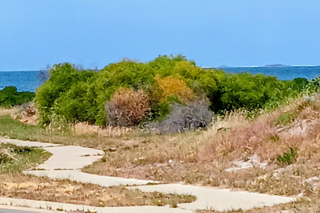 10 Craike Way, Green Head, WA 6514