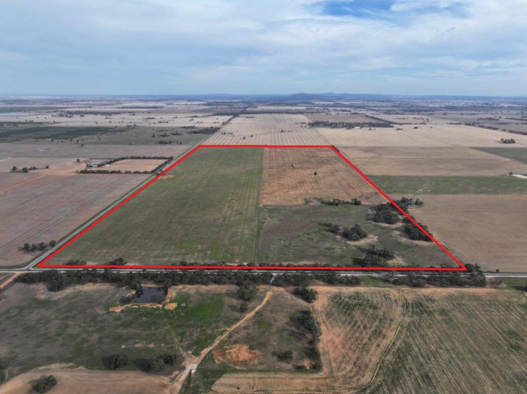 Lot Ca/157 Borung Hurstwood Rd, Borung, VIC 3518