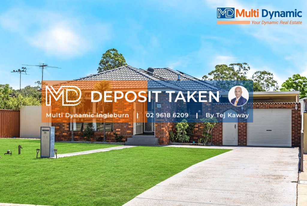 20 Lillas Pl, Minto, NSW 2566