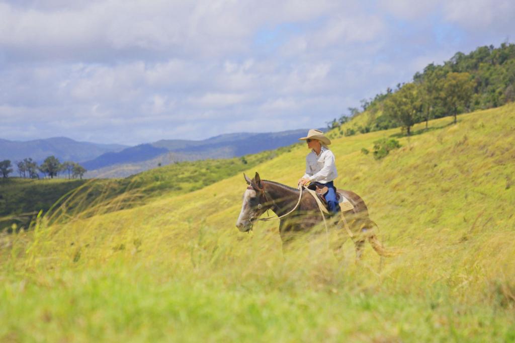 256 Paradise Rd, Mount Sylvia, QLD 4343