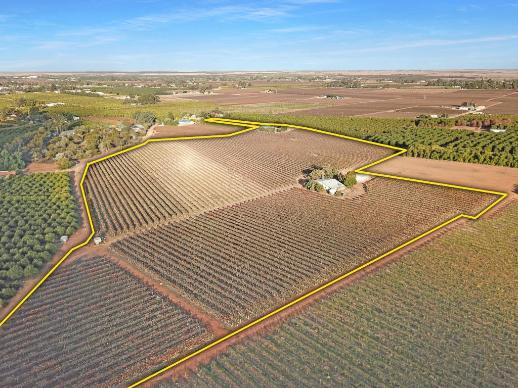 38 Dunstan Rd, Waikerie, SA 5330