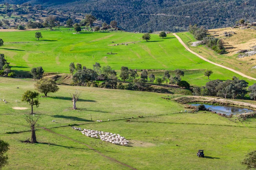 185 Trout Farm Rd, Wyangala, NSW 2808