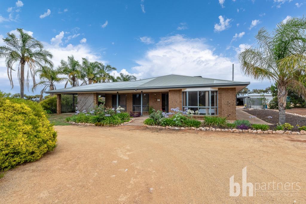 59 Hunt Rd, Barmera, SA 5345