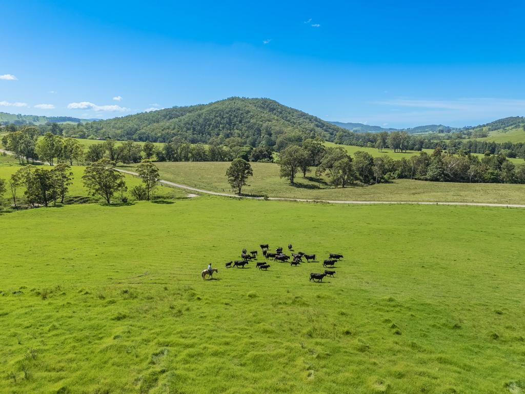 383 Moores Rd, Monkerai, NSW 2415