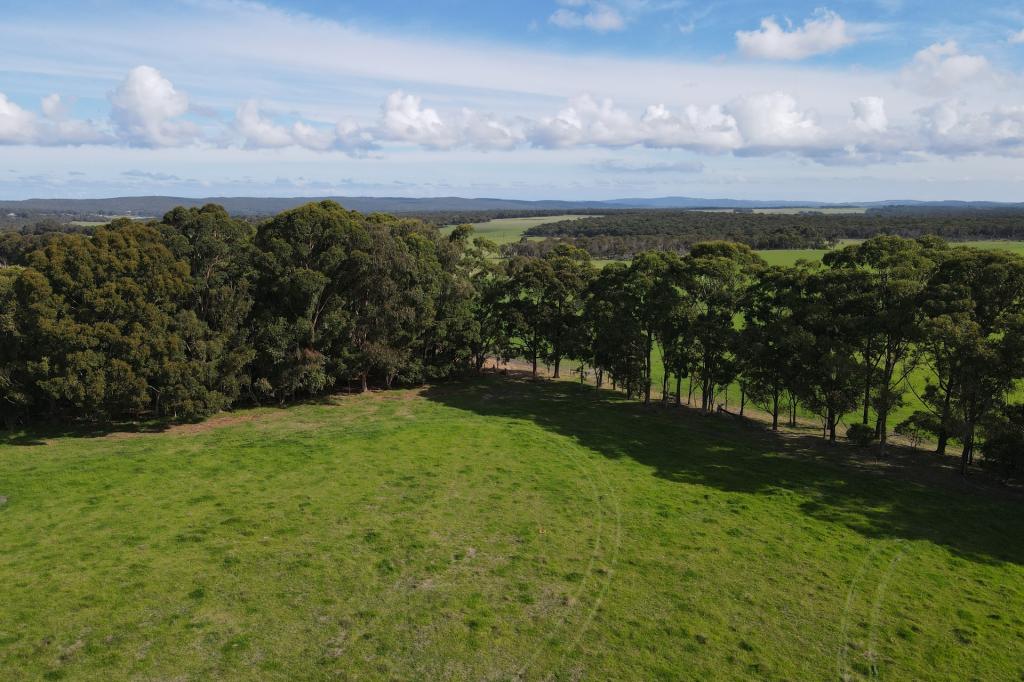 Lot 119/238 Link Rd, Marbelup, WA 6330
