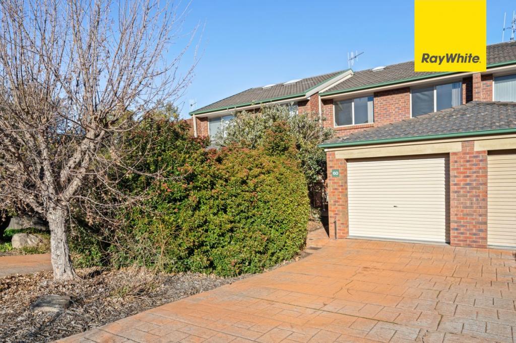 60/3 Heard St, Mawson, ACT 2607