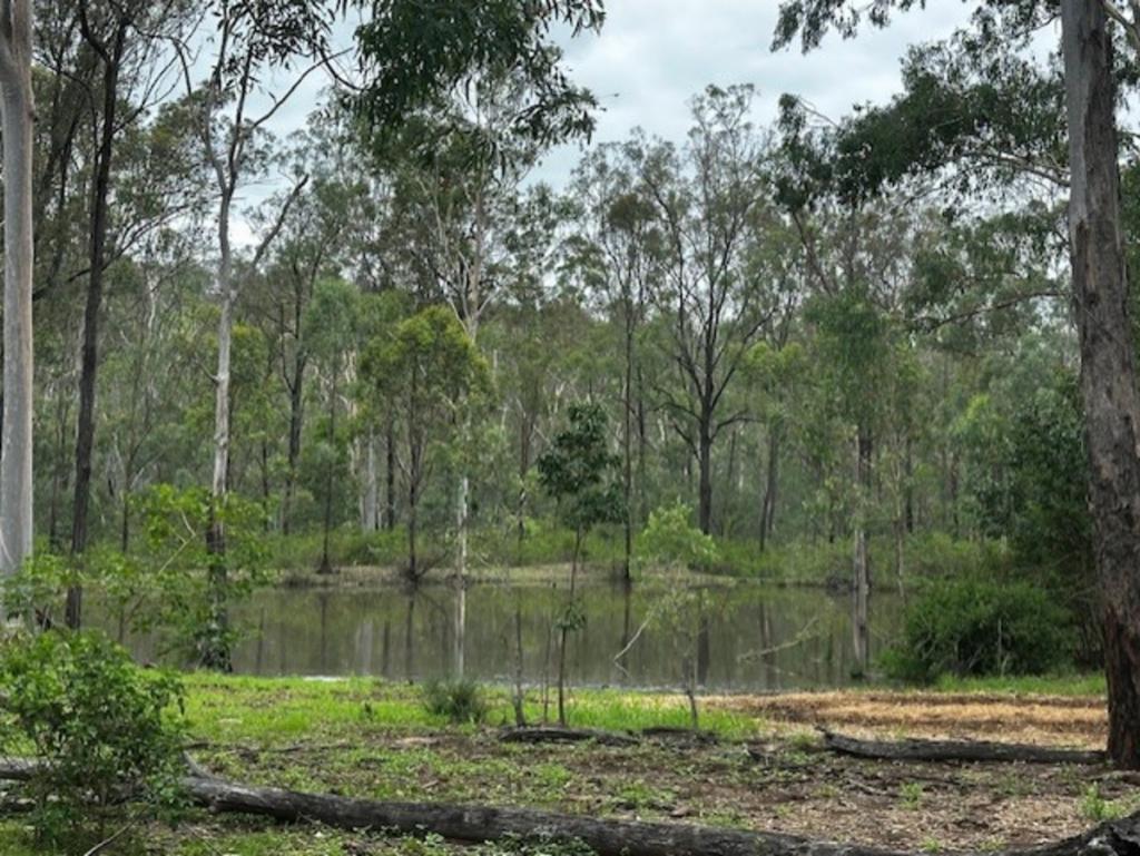 Hurdle Gully Rd, Three Moon, QLD 4630