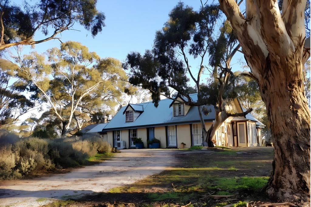 99 Gaelic Cemetery Rd, Stanley Flat, SA 5453