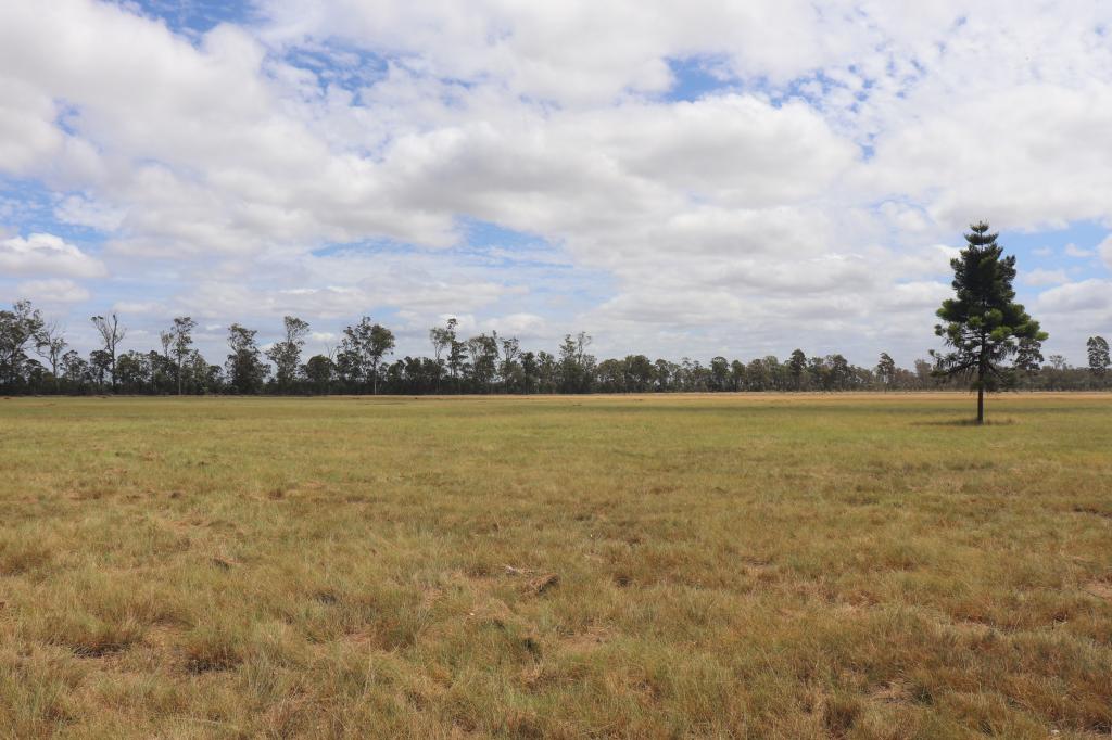 225 BEILS RD, INVERLAW, QLD 4610