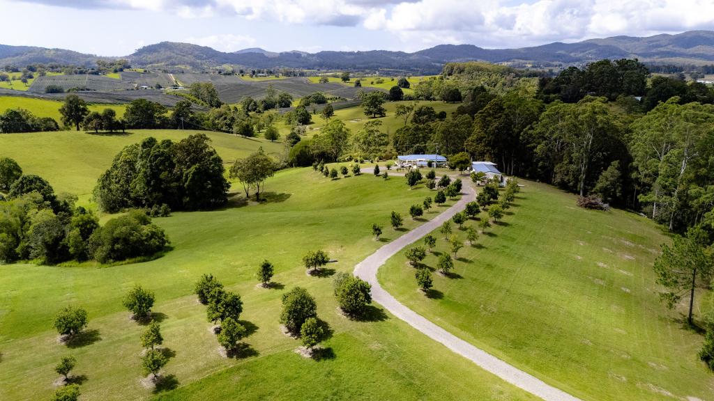 223 Congarinni Rd S, Congarinni, NSW 2447