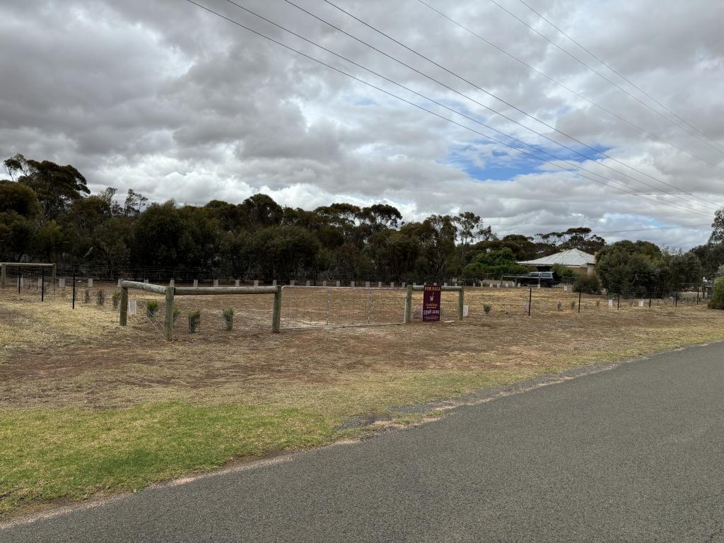 36 Alexander Ave, Berriwillock, VIC 3531