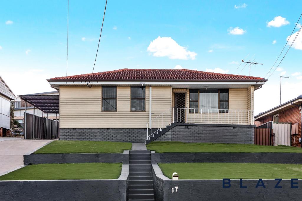 17 Lyndley St, Busby, NSW 2168