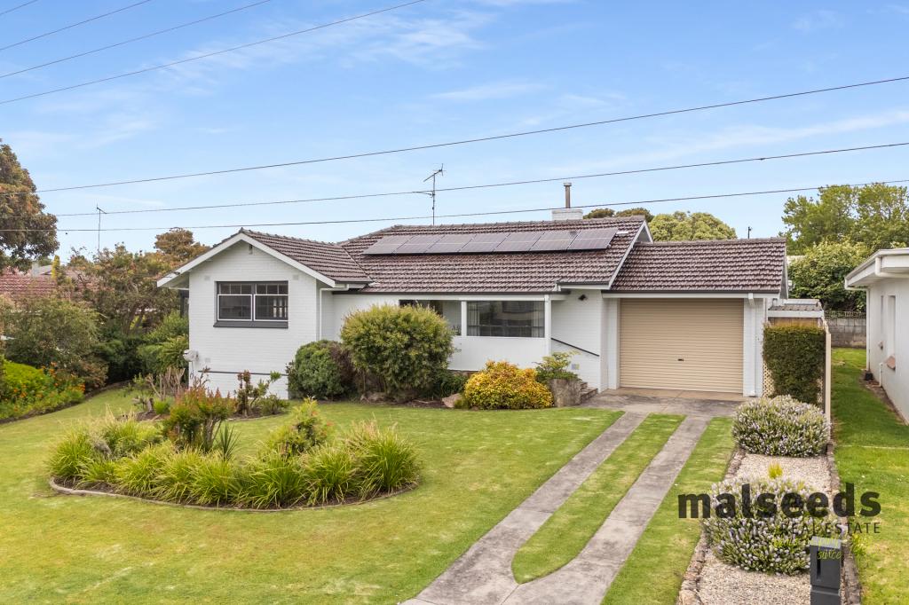 18 Livingston St, Mount Gambier, SA 5290