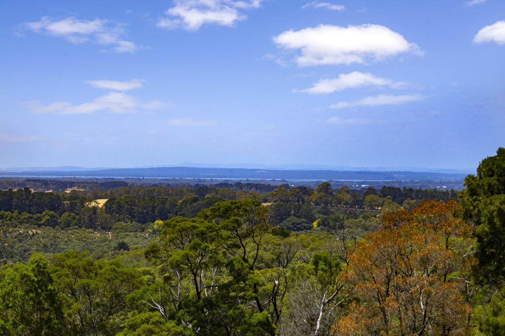 100 Stanleys Rd, Red Hill South, VIC 3937