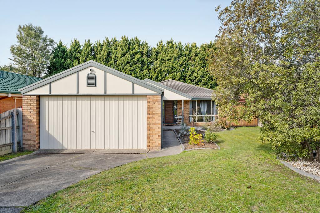 12 Jeremic Ct, Croydon North, VIC 3136