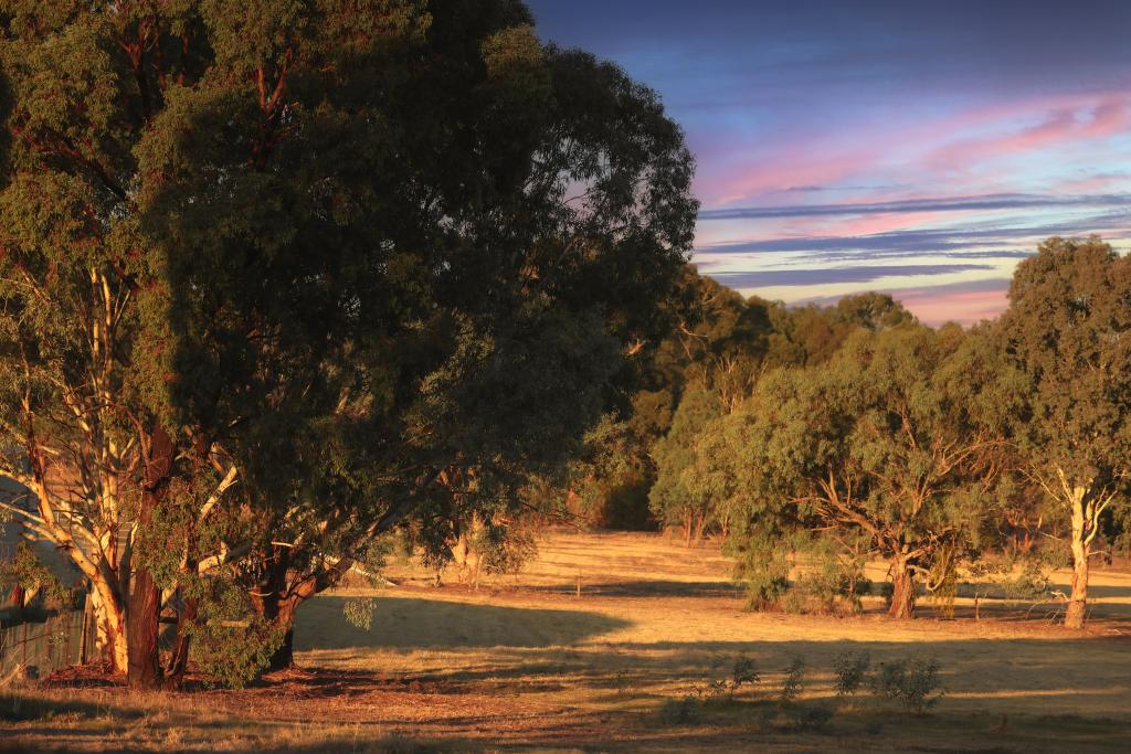 28 Deas Lane, Rutherglen, VIC 3685