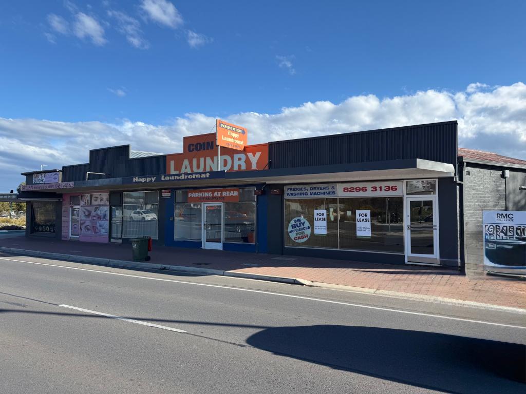 251 Diagonal Rd, Warradale, SA 5046