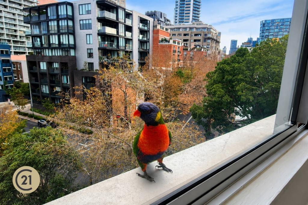 163/40 Bayswater Rd, Rushcutters Bay, NSW 2011