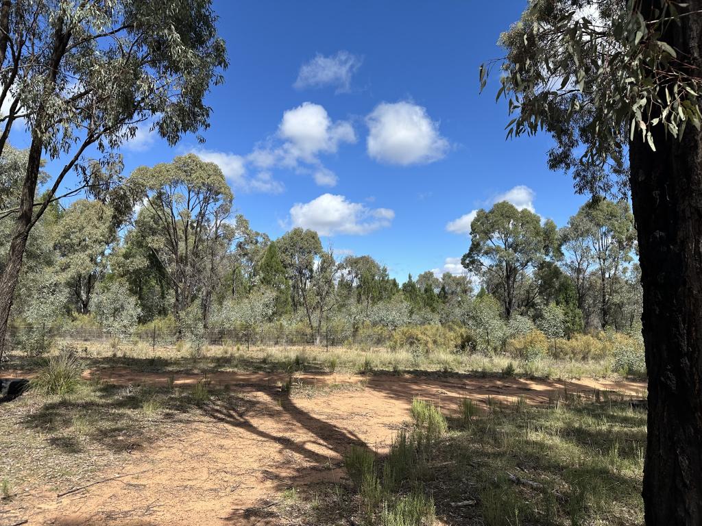 572 BOX RIDGE RD, BINNAWAY, NSW 2395