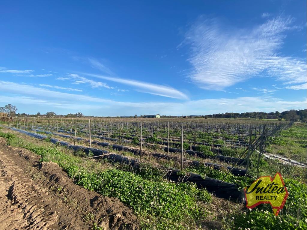 Contact Agent For Address, Ellis Lane, NSW 2570