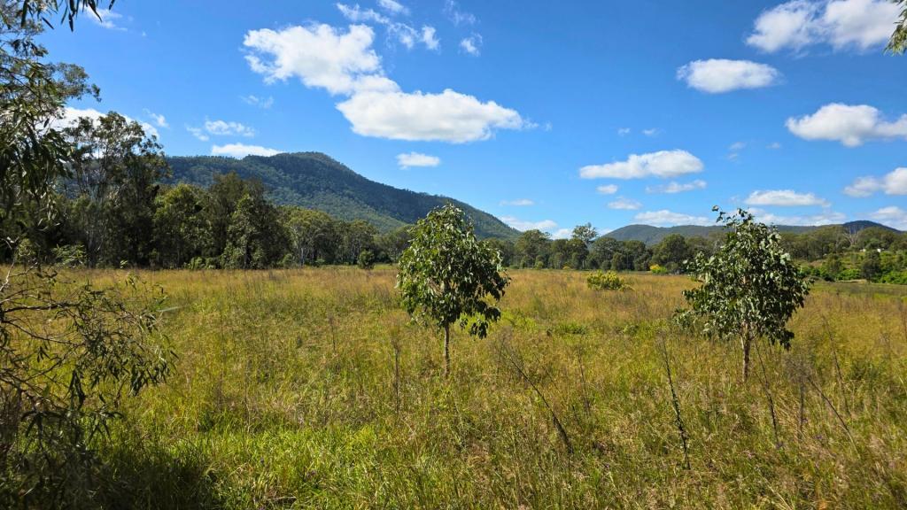 Gayndah - Mount Perry Rd, Mount Perry, QLD 4671