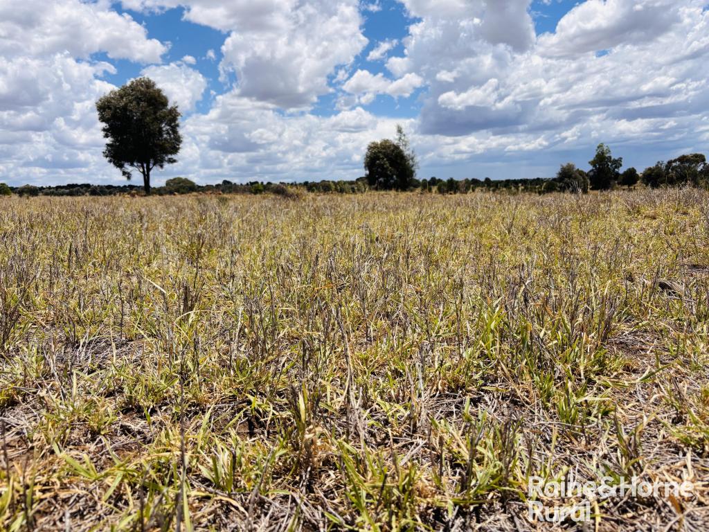 330 Burrow Downs Rd, Injune, QLD 4454