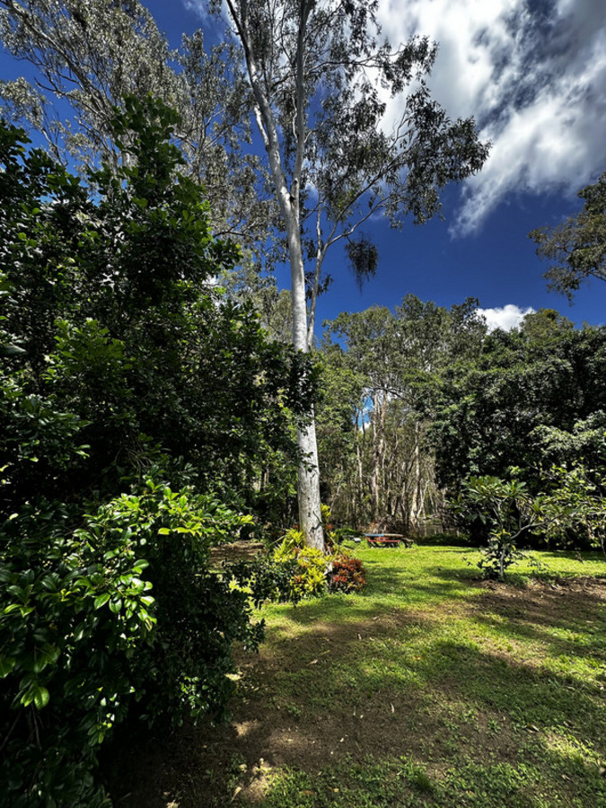 36 Prince Charles Ave, Seaforth, QLD 4741