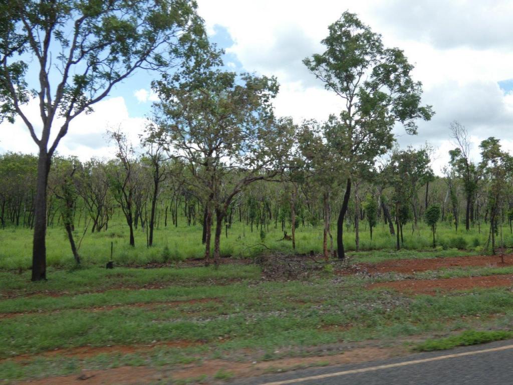 Lot 237 Stuart Hwy, Coomalie Creek, NT 0822