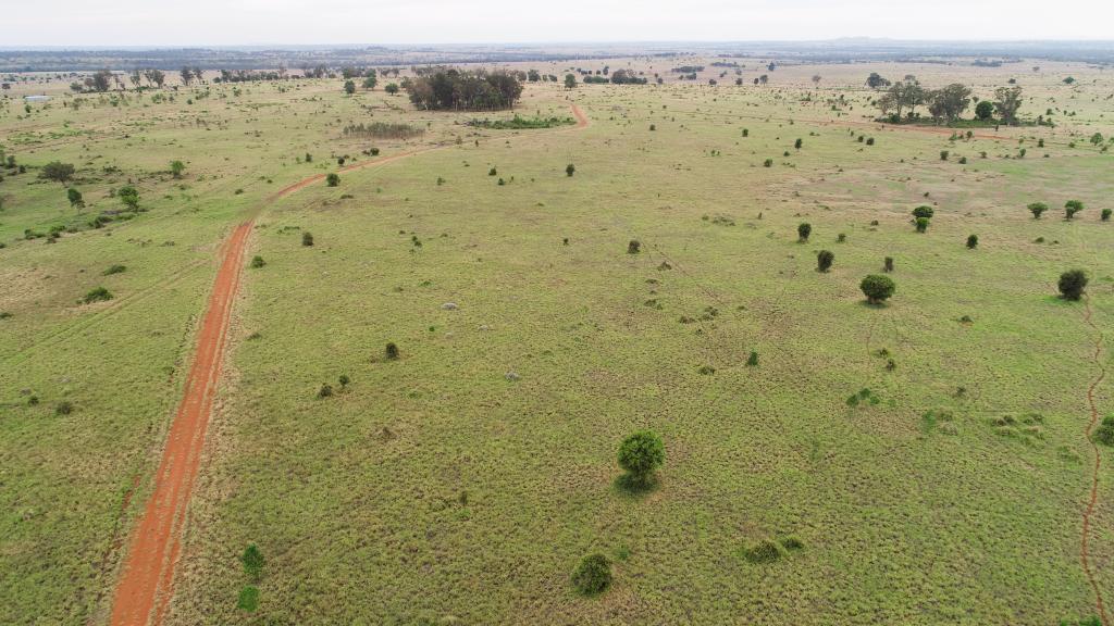 'BRACCO' ORALLO RD, ROMA, QLD 4455