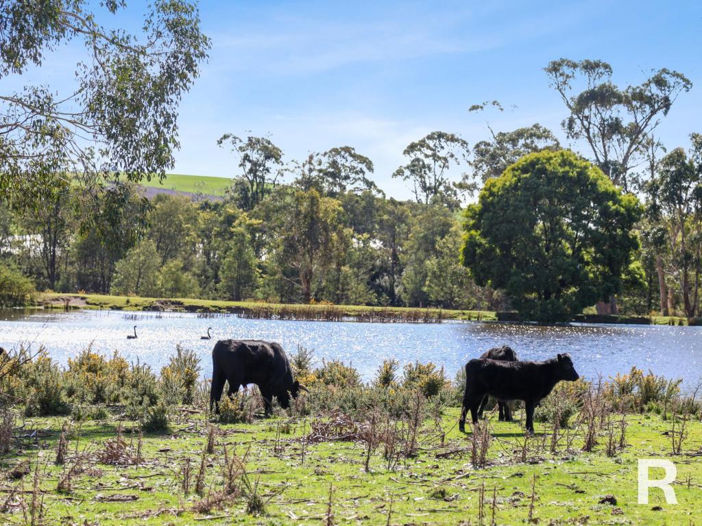 46 Bogan Rd, Osmaston, TAS 7303