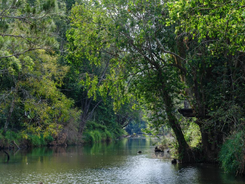 37 Best Rd, Rocksberg, QLD 4510
