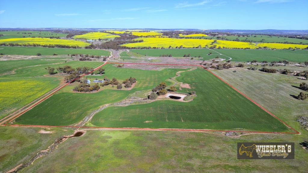 LOT/774 CUBBINE RD, YORK, WA 6302
