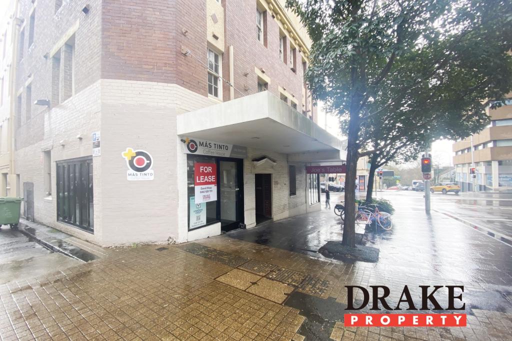 Level Gf/185a Bourke St, Darlinghurst, NSW 2010