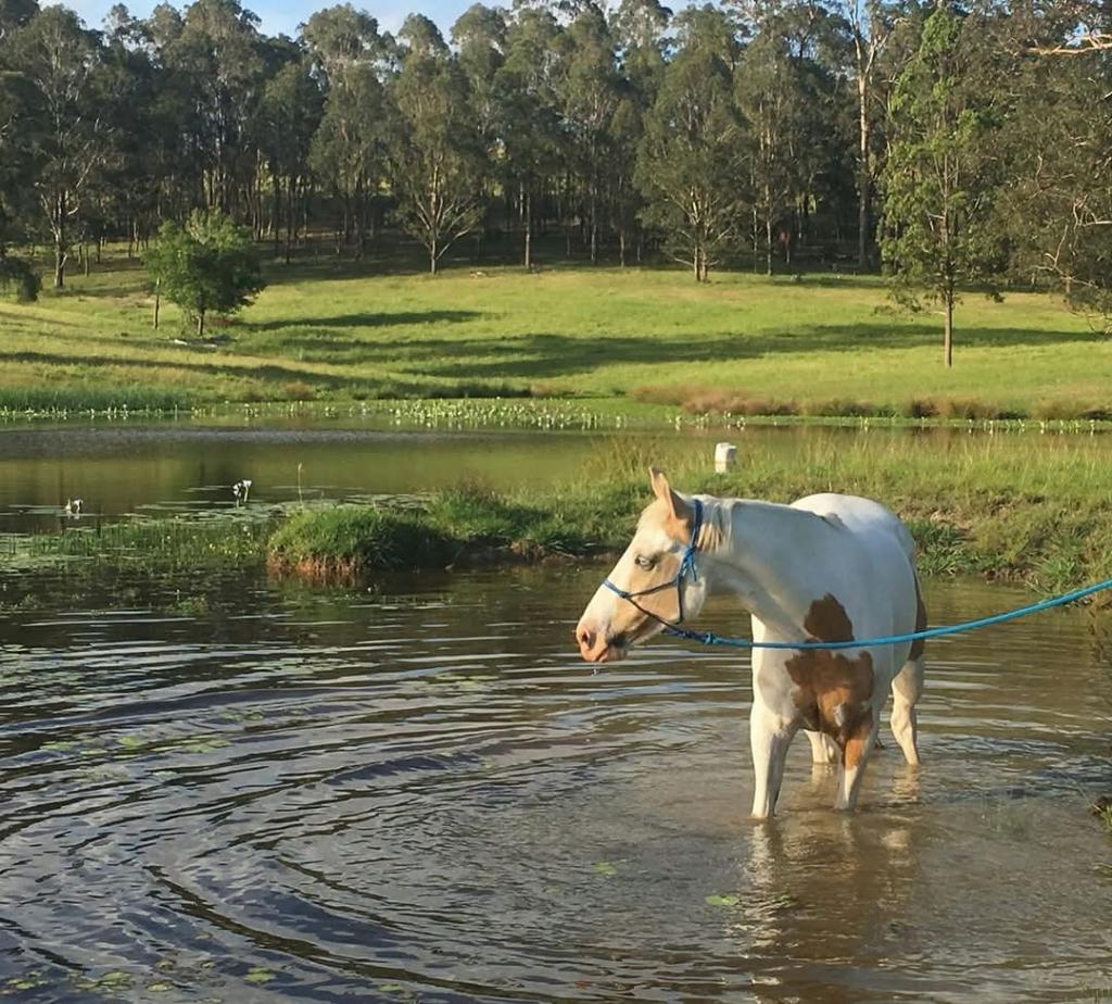 148 Mimi Creek Rd, Firefly, NSW 2429