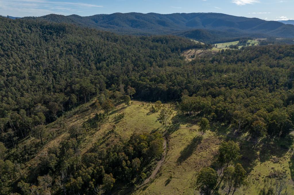 3954 Tulloch Ard Rd, Buchan, VIC 3885