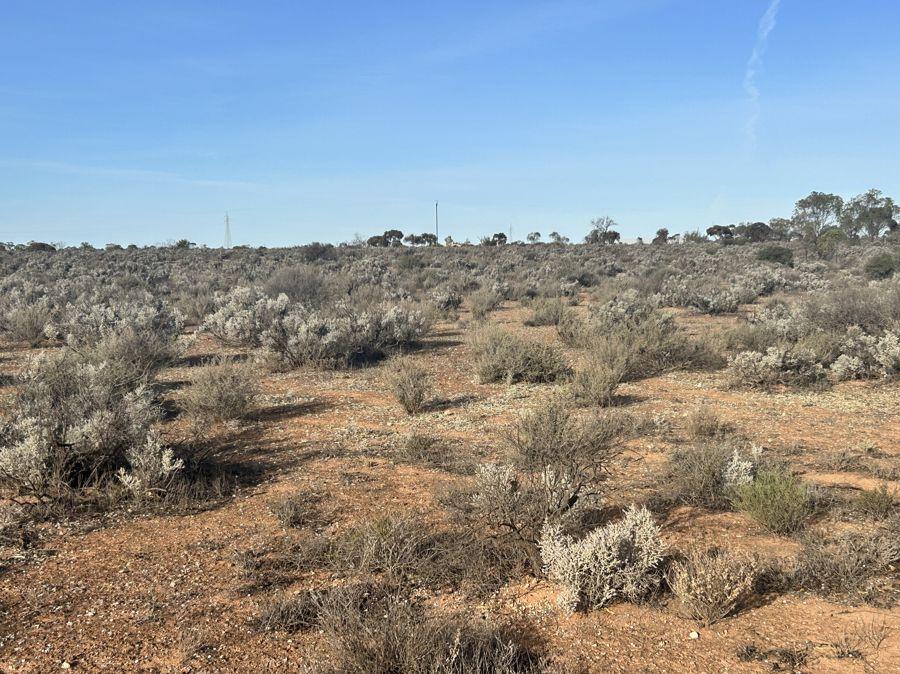 Section 66 Cemetery Rd, Morgan, SA 5320