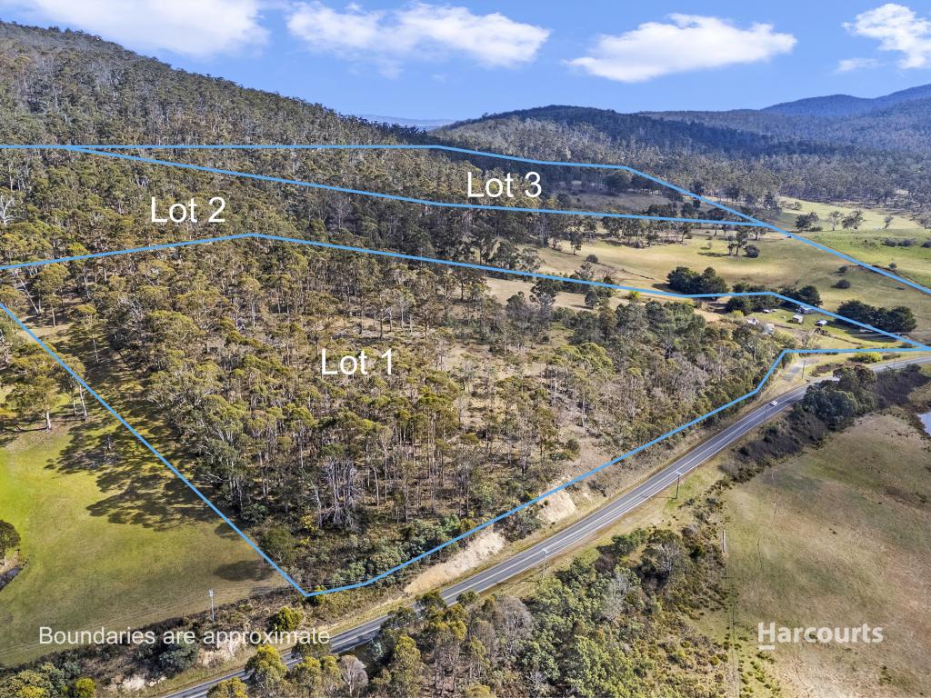 Lot 1/4115 Tasman Hwy, Runnymede, TAS 7190