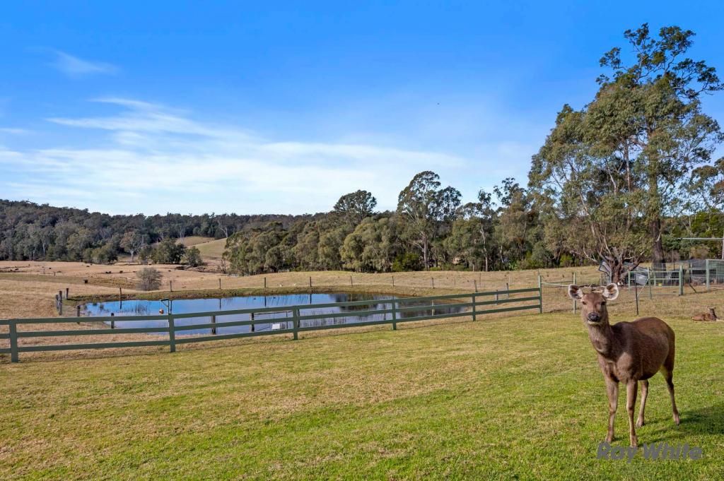 235 Wamban Rd, Moruya, NSW 2537