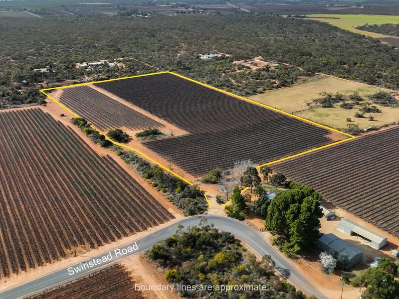 Section 862 Swinstead Rd, Loveday, SA 5345