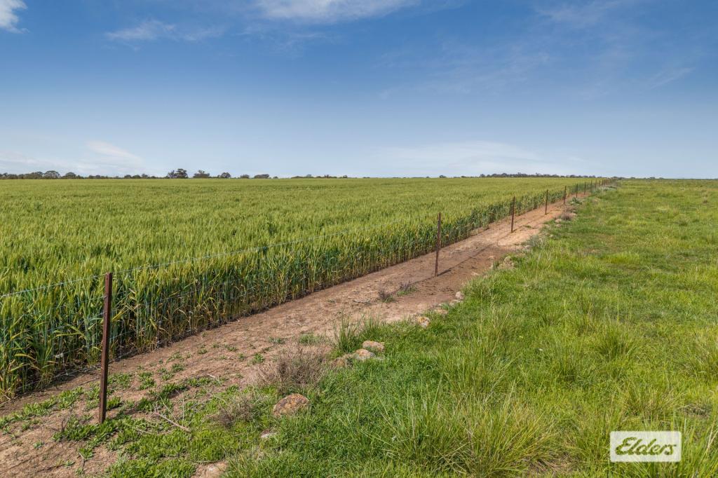 Baringhup Rd, Baringhup, VIC 3463