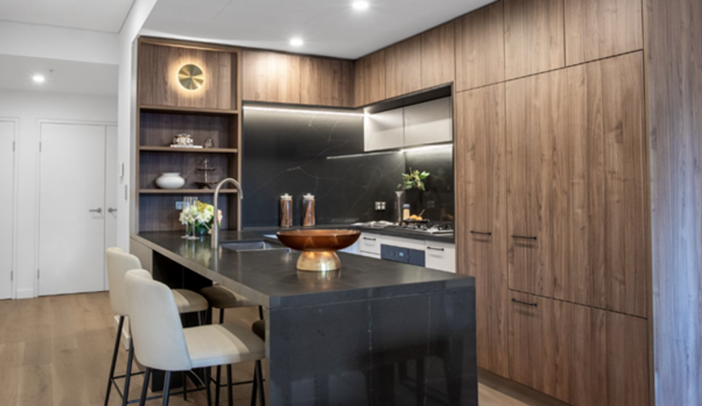 210/9 PEACH TREE RD, MACQUARIE PARK, NSW 2113