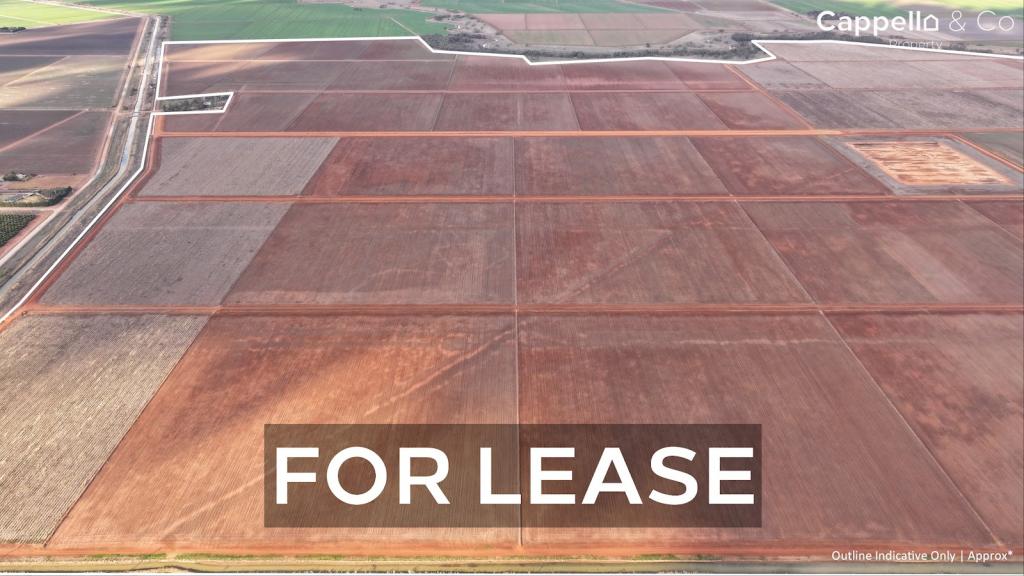 73 Mirrool Branch Canal Rd, Hanwood, NSW 2680