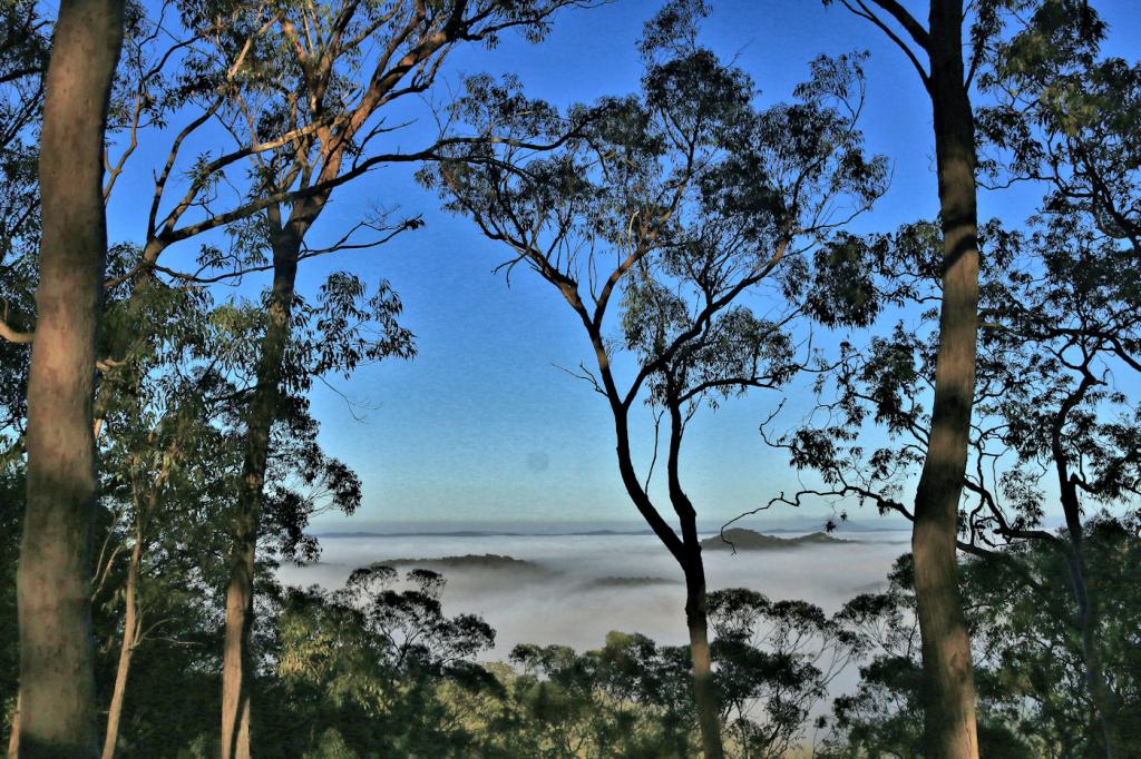 Contact Agent For Address, Wollombi, NSW 2325