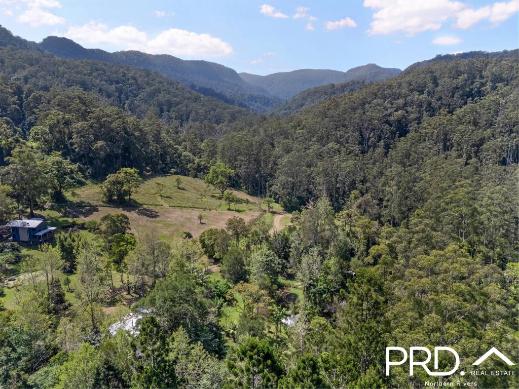 1198 Horseshoe Creek Rd, Upper Horseshoe Creek, NSW 2474