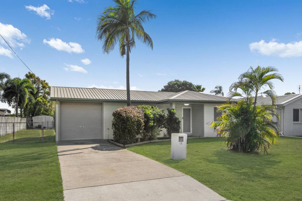 12 Tansey Ct, Kelso, QLD 4815