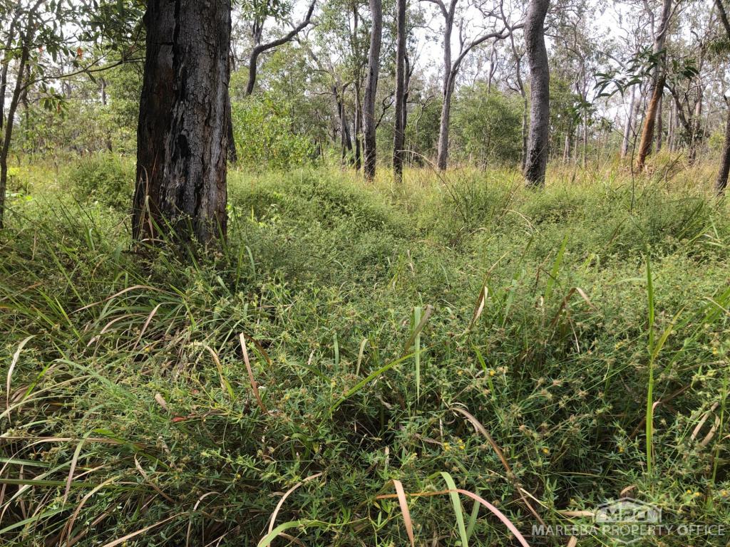 Lot 154 / 764 Hodzic Rd, Biboohra, QLD 4880