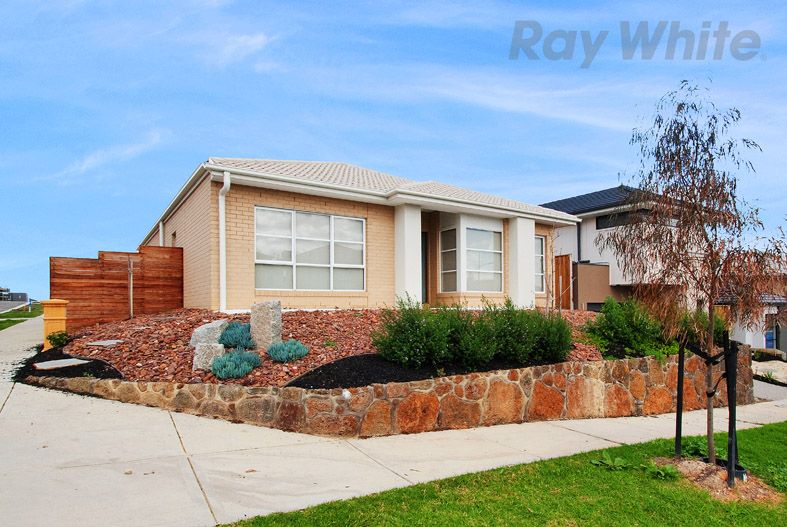 11 Red Box St, Coburg North, VIC 3058